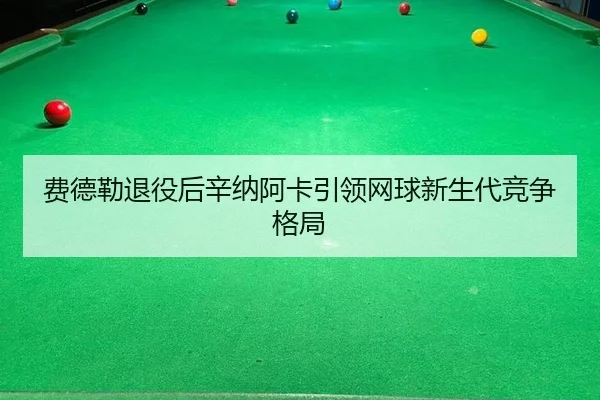 fei-de-lei-tui-yi-hou-xin-na-a-ka-yin-ling-wang-qiu-xin-sheng-dai-jing-zheng-ge-ju-2-791.jpg